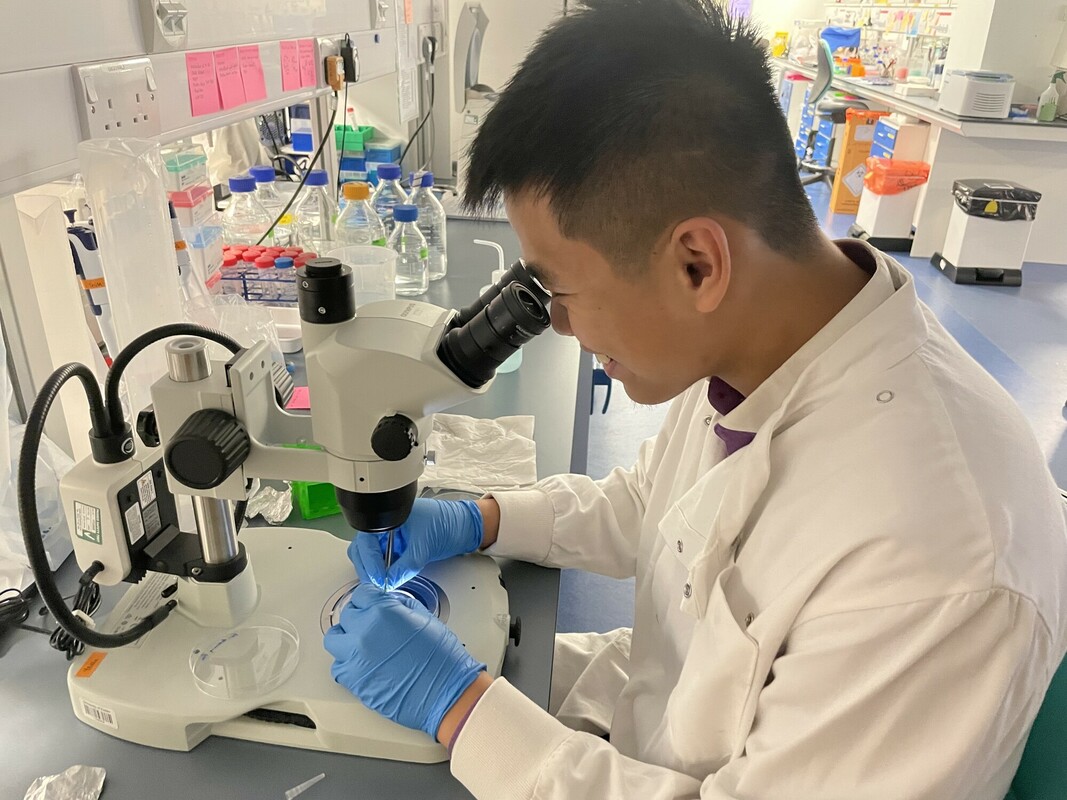 Researcher with microscope