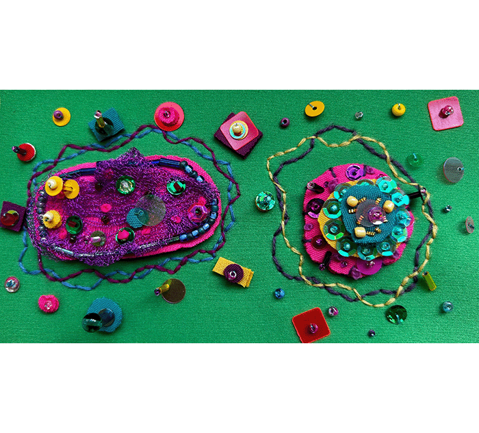 A close up of colourful embroidered cells on Megan Neville's Day Bag.