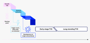 Illustration depicting the progression of Type 1 Diabetes (T1D). It starts with genetic risk and a trigger event where beta cells are attacked, leading to immune activation. This triggers an immune response and development of a single autoantibody, progressing to early-stage and then long-standing T1D.