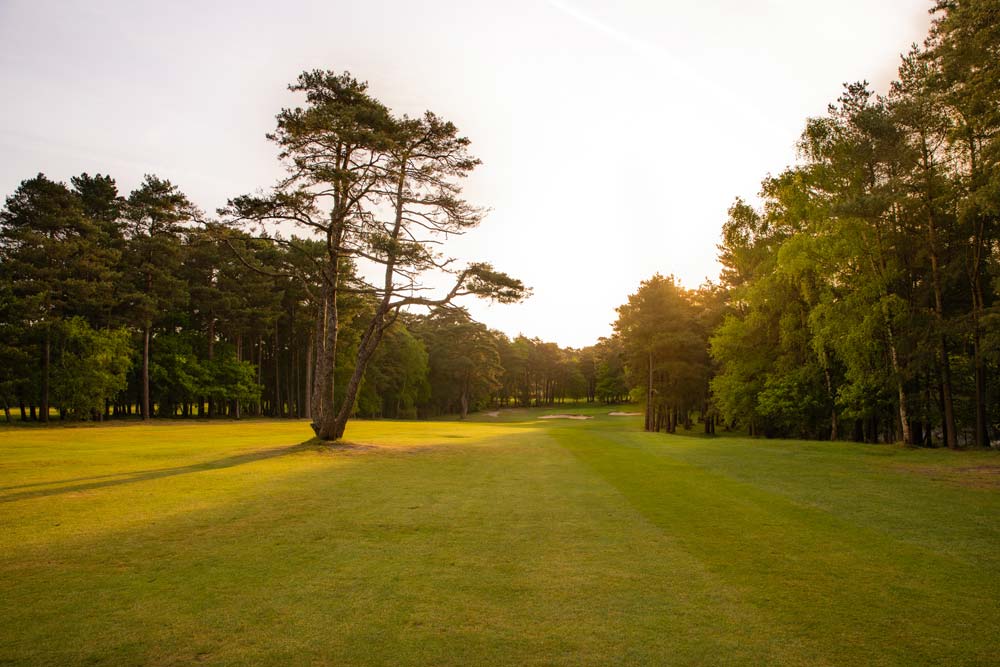 Pine Ridge Club golf course fairway