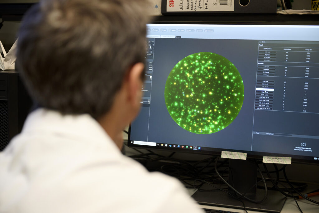 Man looking at insulin producing cells on a computer screen